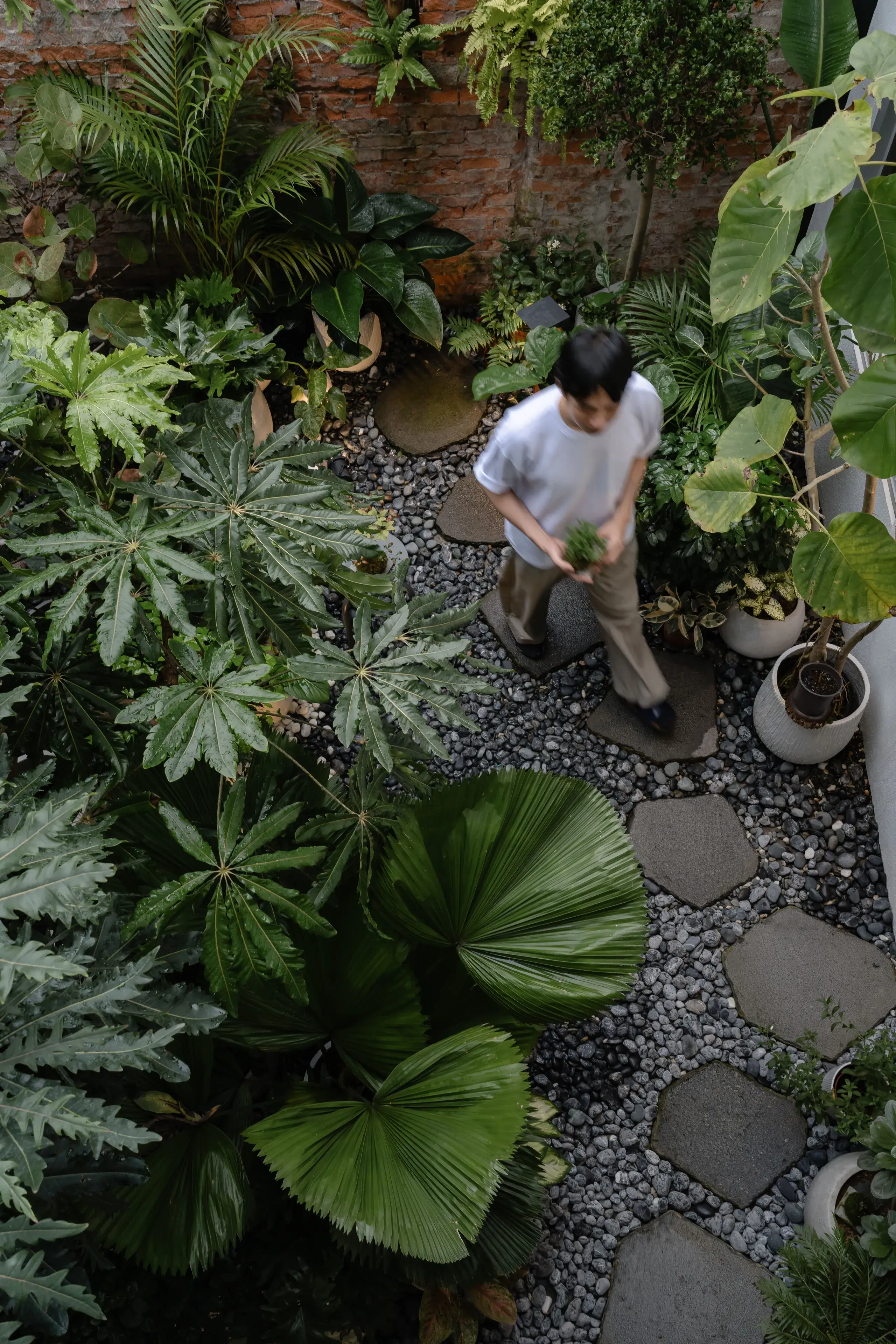 植栽庭院俯拍